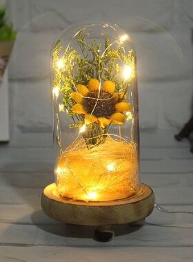 Sunflower Warm Light Lamp Glass Cover Dome Lamp Bedside