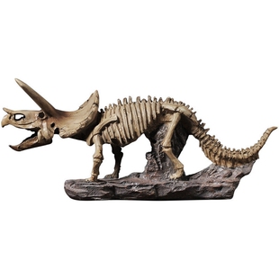 Home Shelf Simulation Triceratops Skeleton Fossil Statue