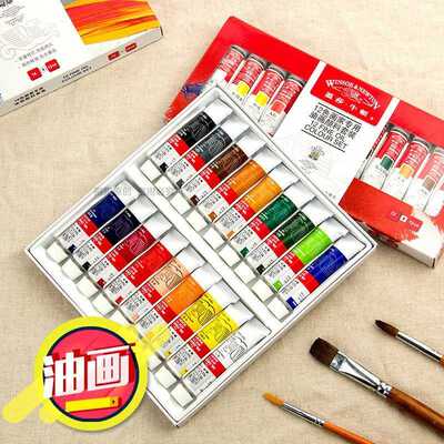 Professional Oil Paint Winsor and Newton for Oil Painting of