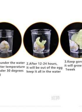 60pcs 2*3cm Dinosaur Eggs Water Growing Cute Dinosaur Party