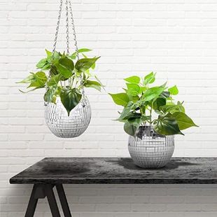Mirror Ball Hanging Flower Pot for Indoor Plants Boho