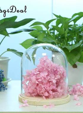 *MagiDeal Transparent Glass Cover Flowers Cake LED Lights Di