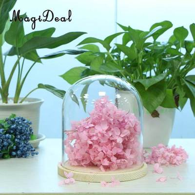 *MagiDeal Transparent Glass Cover Flowers Cake LED Lights Di