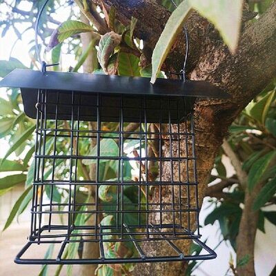 Pengumpan Burung Logam Burung Liar Suet Pengumpan dengan