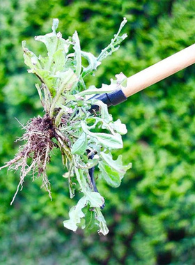 Weeding Head Replacement Metal Aluminum Art Weeder Head Gard