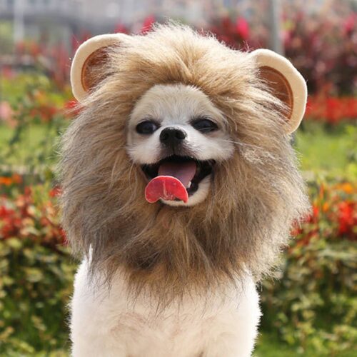 Pet Small Dog Cat Lion Mane Wig Cap Hat Cosplay Costume Cat