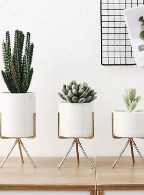 2021 Fashion Style Ceramic Flower Pot Elegant Gold Iron