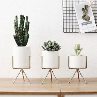 2021 Fashion Style Ceramic Flower Pot Elegant Gold Iron