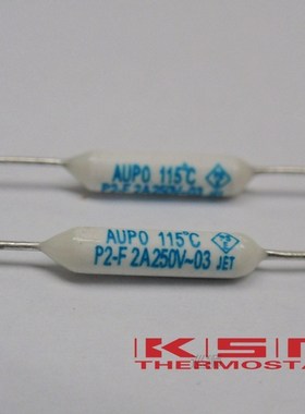100pcs P2-2A-F 115 2A 250V degree Thermal Cutoff RF115 Therm