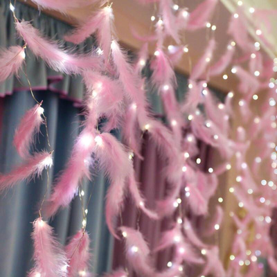 led copper wire curtain light ins decoration live broadcas