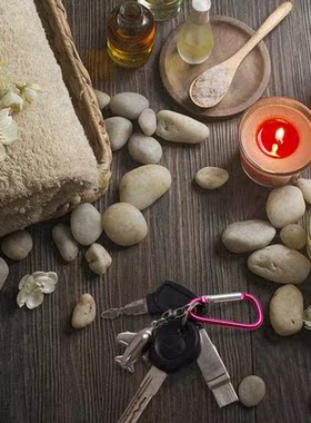 100pcs Carabiners Aluminum Locking Carabiner Spring Clips Ho