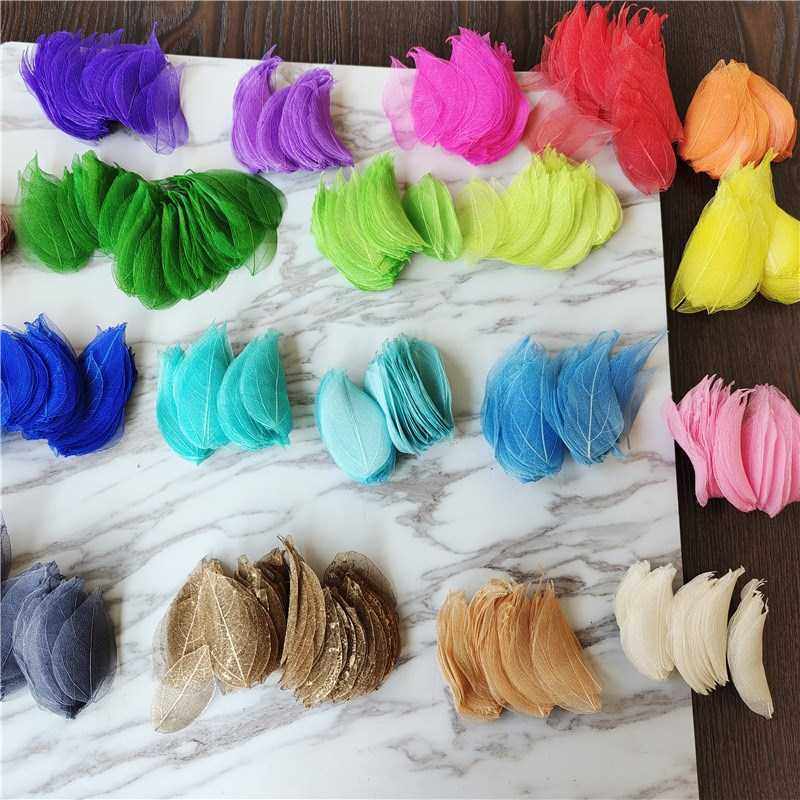 5cm,95pcs high quality real dried natural vajra le