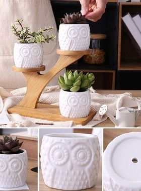 K1MF Set Pot Bunga Tanaman Kaktus Sukulen Pot Burung Hantu