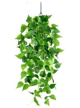K1MF Tanaman Gantung Buatan Tanaman Merambat Pakis