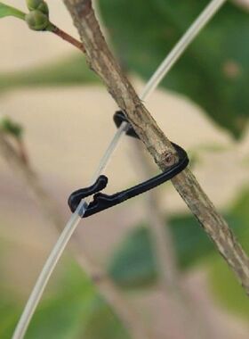 50pcs Plastic Plant Clips Supports Connects Reusable