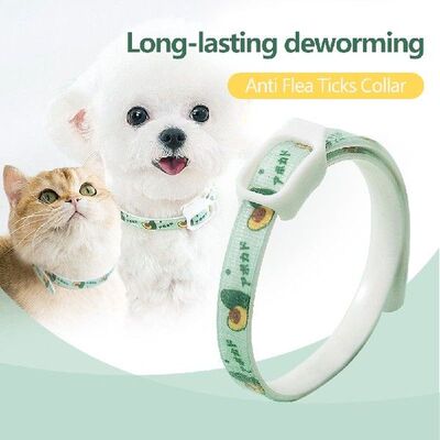 Pet Collar Anti Mosquito Protection Cat Summer Anti Flea