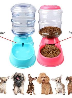 Cute Automatic Pet Feeder with Voice Message Recording and
