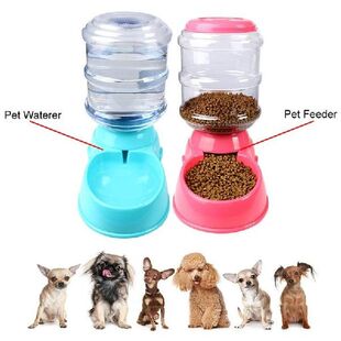 Cute Automatic Pet Feeder with Voice Message Recording and