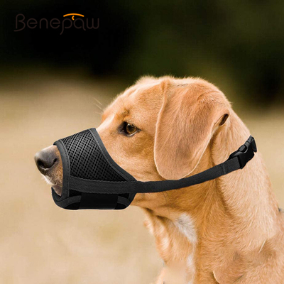 Benepaw Breathable Soft Mesh Padded Muzzle For Dog