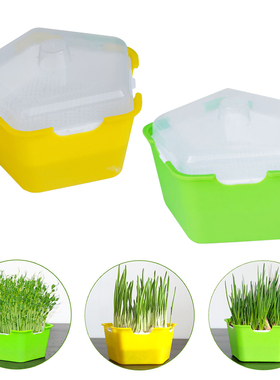 1PC Pentagonal Box Sprouts Seedling Tray Multifunctional