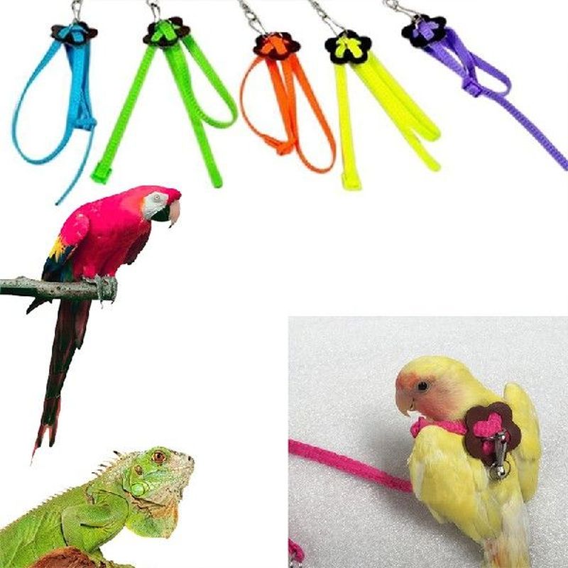 1.2m Adjustable Parrots Bird Harness Leash Anti-Bite