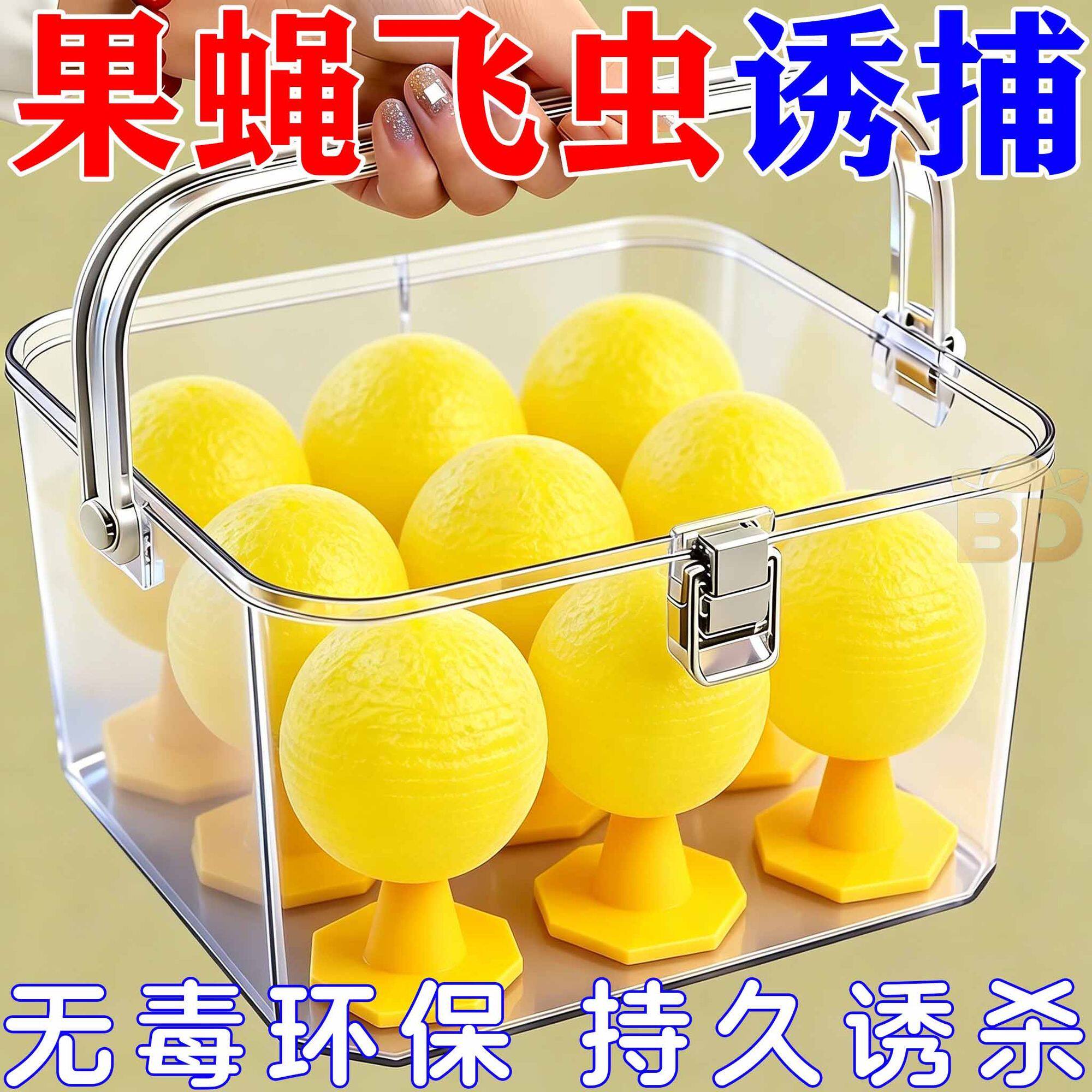 果蝇诱捕器室内果蝇小飞虫诱粘球