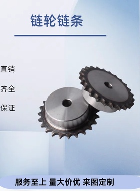 链轮 50B SP50B14-S/N-12/15/16/17/18/19/20/22/24/25/28/30/32