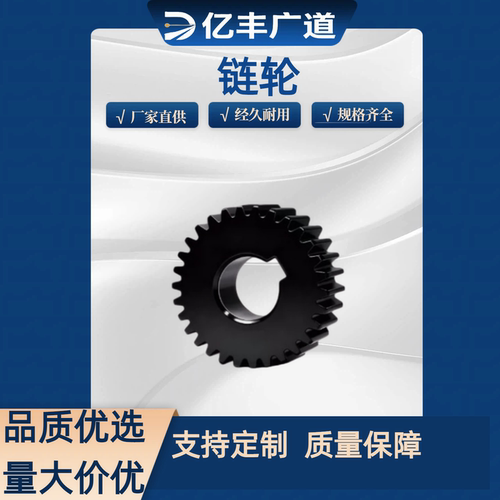 VNF21/22-1.0-19 20 21 22-B10 B12-A B-P6 P7 P8 P9 P10 P12齿轮