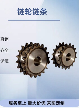 链轮SP40B18-S/N-13 14/15/16/17/18/19/20/22/24/25/28/30/32/35