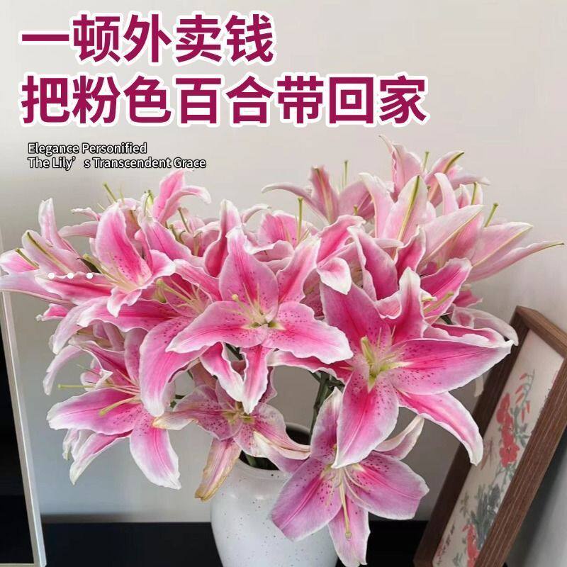香水百合鲜花云南基地直发水培多头鲜切花花束插花插瓶多重瓣花卉
