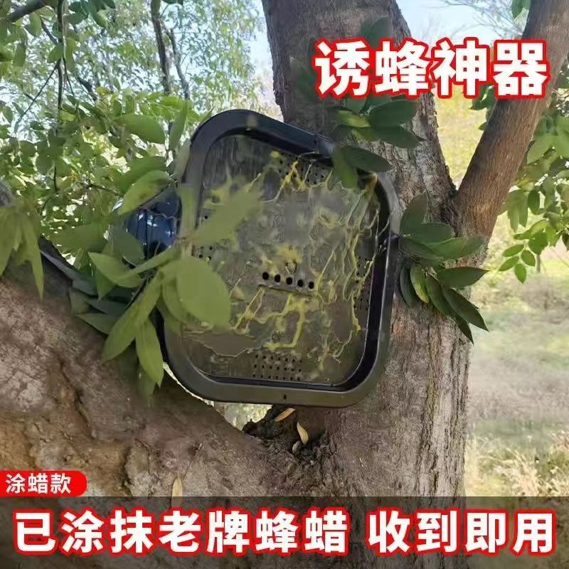黑色方形PVC野外悬挂引蜂诱蜂桶