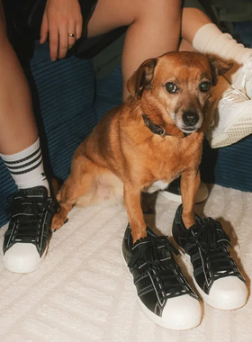 END. X ADIDAS SUPERSTAR 黑色 柔软舒适 低帮联名板鞋 jr0518