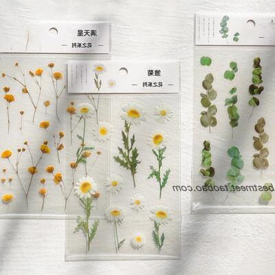 PET Stickers Flowers Leaves Plants Sticker for Scrapbooking