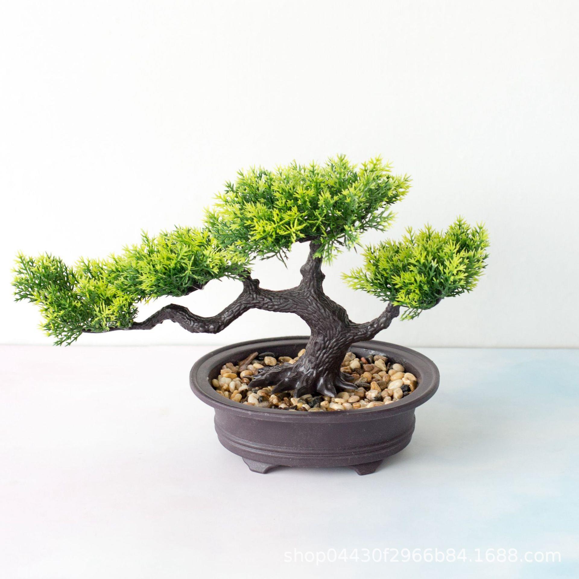 Welcome pine bonsai decoration simulation plant bonsai home