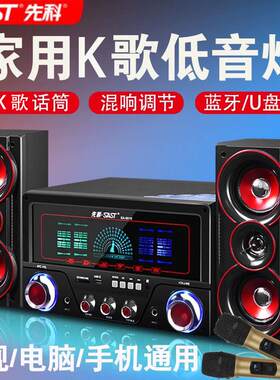 先科家庭电脑音响家用电