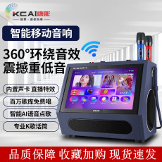 k歌/直播声卡套装