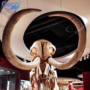 大型动物古生物骨骼化石模型博物馆科普馆展览雕塑展品厂家定制