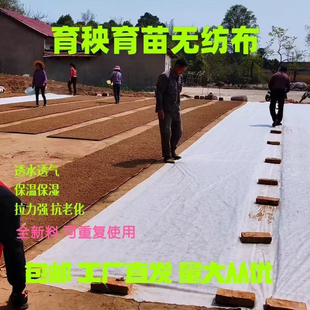 农用无纺布白色透气地膜水稻育秧专用保湿保温专用布农业育苗护坡