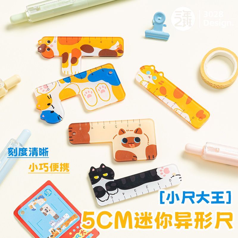 三年二班小尺大王迷你亚克力直尺套装小学生卡通尺便携掌心尺挂件