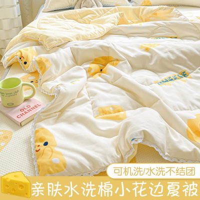 2024新款夏季水洗棉夏凉被可水洗春秋薄被子宿舍单双人夏被空调被