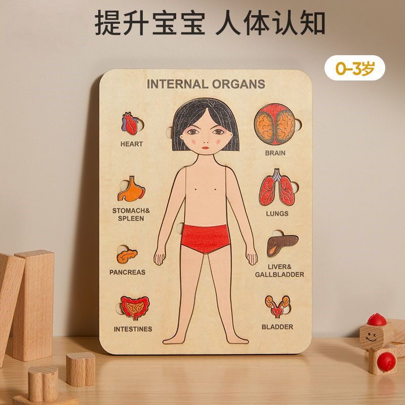 拼图人体器官多层拼版儿童益智玩具早教具科学启蒙幼儿园拼图玩具