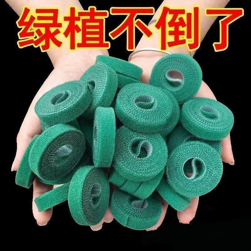 绿色不伤植物热植绑带扎带魔术贴绿植扎带捆绑绿色粘扣带植物捆绑
