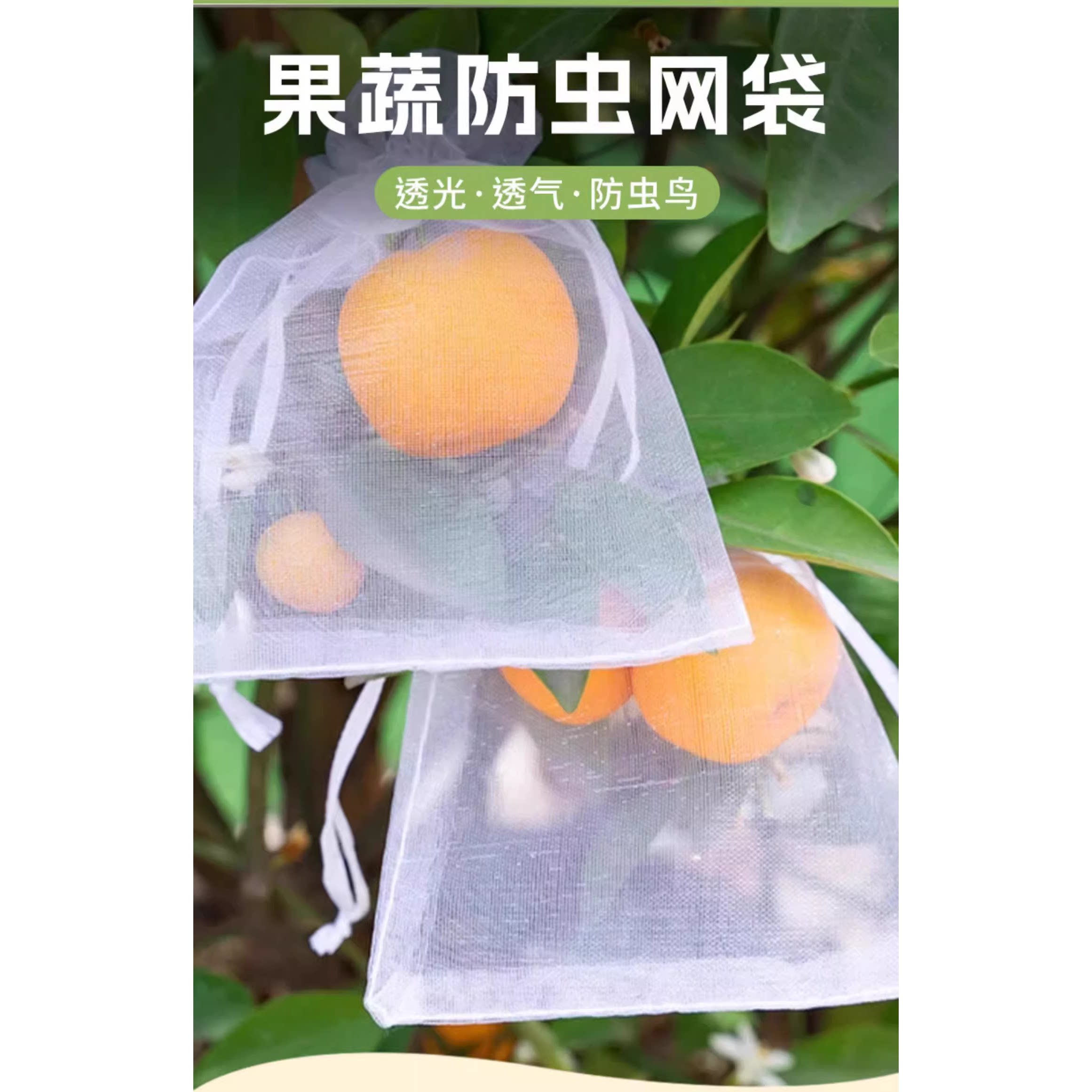 水果套袋防虫防鸟专用网袋葡萄桃子石榴芒果草莓无花果通用网纱袋