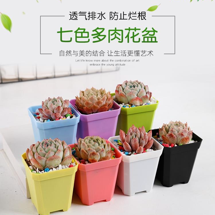 七彩方盆多肉植物花盆加厚优质塑料盆园艺种植盆简约时尚上新福利