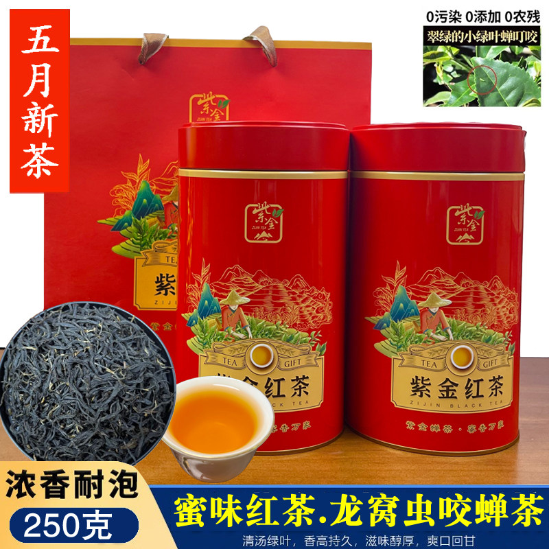 25年河源龙窝虫咬蝉茶紫金蝉蜜味红茶云雾禅茶绿茶250g东方美人茶