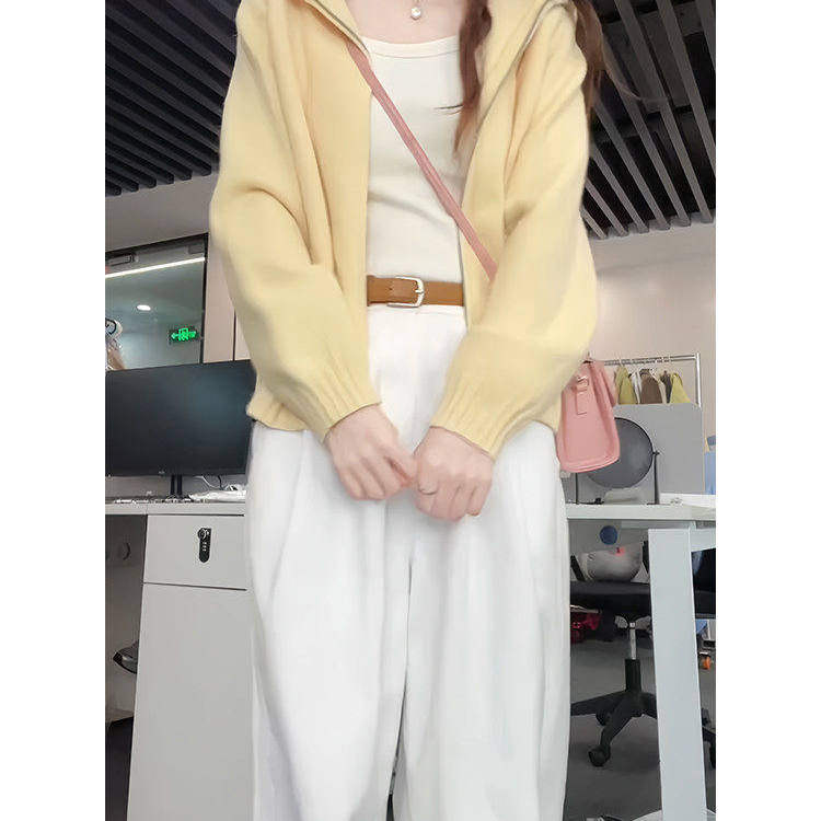 减龄奶黄色针织毛衣女连帽拉链款上衣春装秋冬chic高级感开衫外套