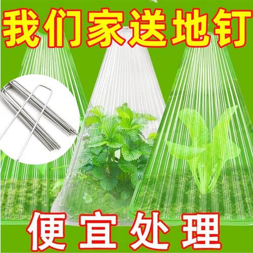 育苗保护罩透明钟罩可重
