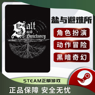盐与避难所 Salt and Sanctuary STEAM正版PC英文 黑暗奇幻 冒险