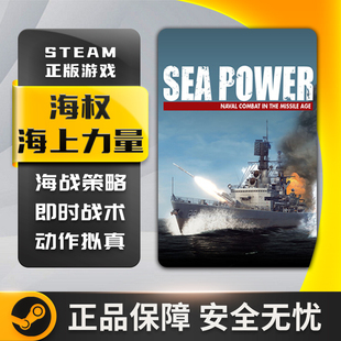 海权 海上力量 sea power 即时战术 动作拟真 策略 Steam正版PC