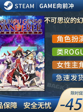 不可思议的幻想乡-FORESIGHT-不可思议迷宫 动漫2D Steam正版中文